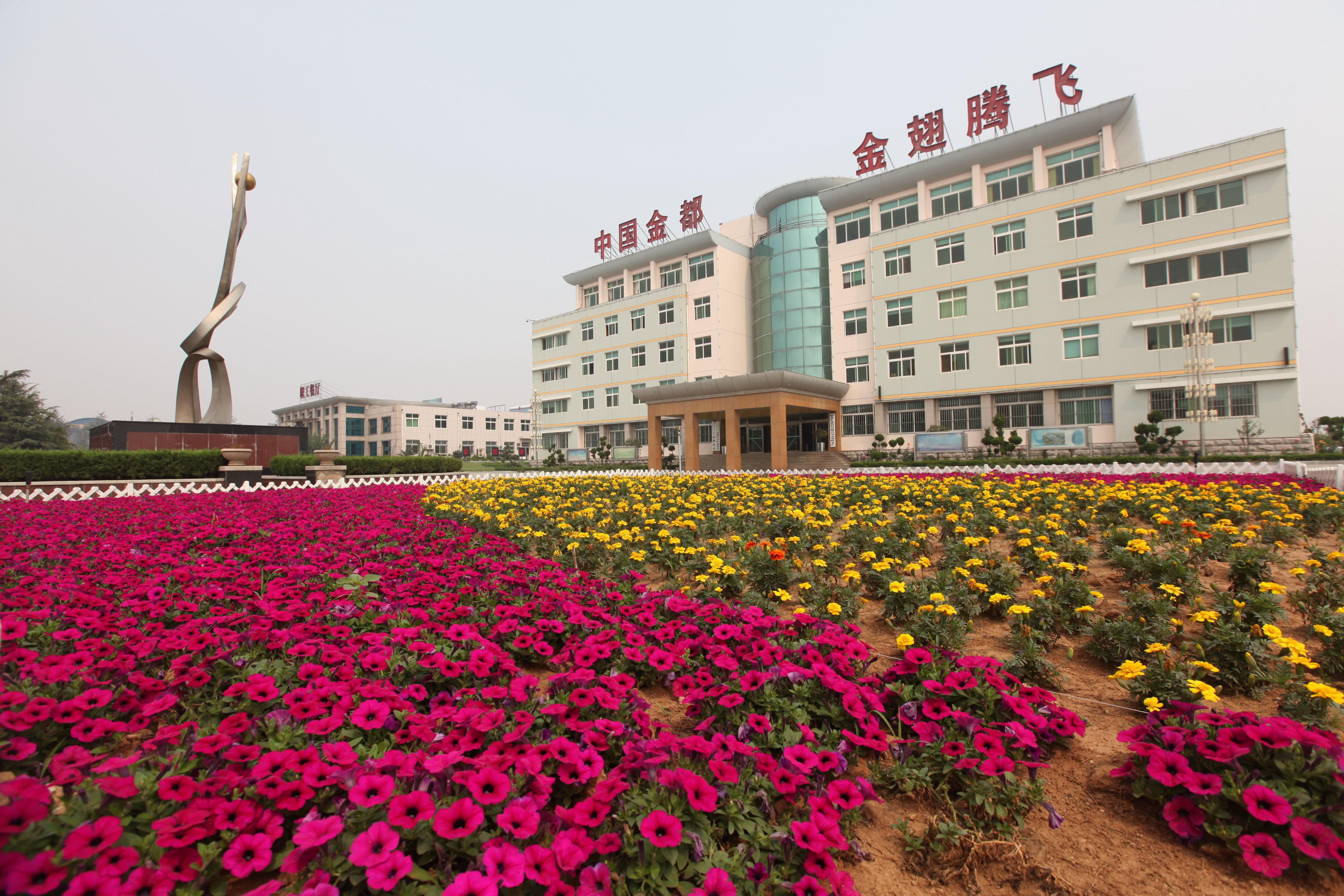 1739798900337054727.jpg 金翅嶺金礦大景.jpg